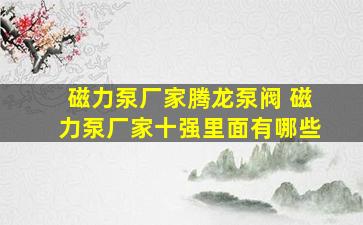 磁力泵厂家腾龙泵阀 磁力泵厂家十强里面有哪些